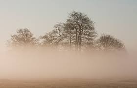 Mist in mijn kop